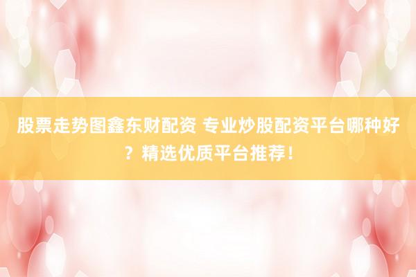 股票走势图鑫东财配资 专业炒股配资平台哪种好？精选优质平台推荐！