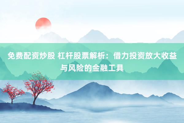 免费配资炒股 杠杆股票解析：借力投资放大收益与风险的金融工具