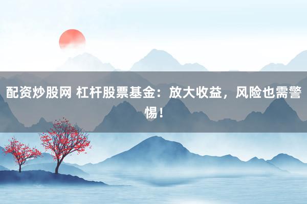配资炒股网 杠杆股票基金：放大收益，风险也需警惕！