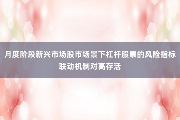 月度阶段新兴市场股市场景下杠杆股票的风险指标联动机制对高存活
